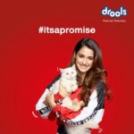 Disha Patani Instagram - #ItsAPromise to gift our pawed friends a safe Diwali 😻🐶 Join me in spreading this message. Share it on your story and tag @droolsindia 🙏 Wish you all a Happy Diwali! ✨ #Drools #FeedRealFeedClean #HappyDiwali #Ad #Sponsored