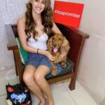 Disha Patani Instagram - #ItsAPromise to gift our pawed friends a safe Diwali 😻🐶 Join me in spreading this message. Share it on your story and tag @droolsindia 🙏 Wish you all a Happy Diwali! ✨ #Drools #FeedRealFeedClean #HappyDiwali #Ad #Sponsored