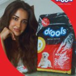 Disha Patani Instagram - We all want the best for our furry friends.🐶 🐱 Hence I choose @droolsindia as every meal is prepared with utmost care and love #DroolsIndia #FeedRealFeedClean #Ad #sponsored
