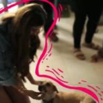 Disha Patani Instagram - Every animal has a heart, just like us. So let's love animals - and they will love you more. TikTok is teaming up with WorldForAll, an NGO for the welfare of stray animals. Support @indiatiktok in this good cause and share your stories with your pets using the hashtag #petbff.