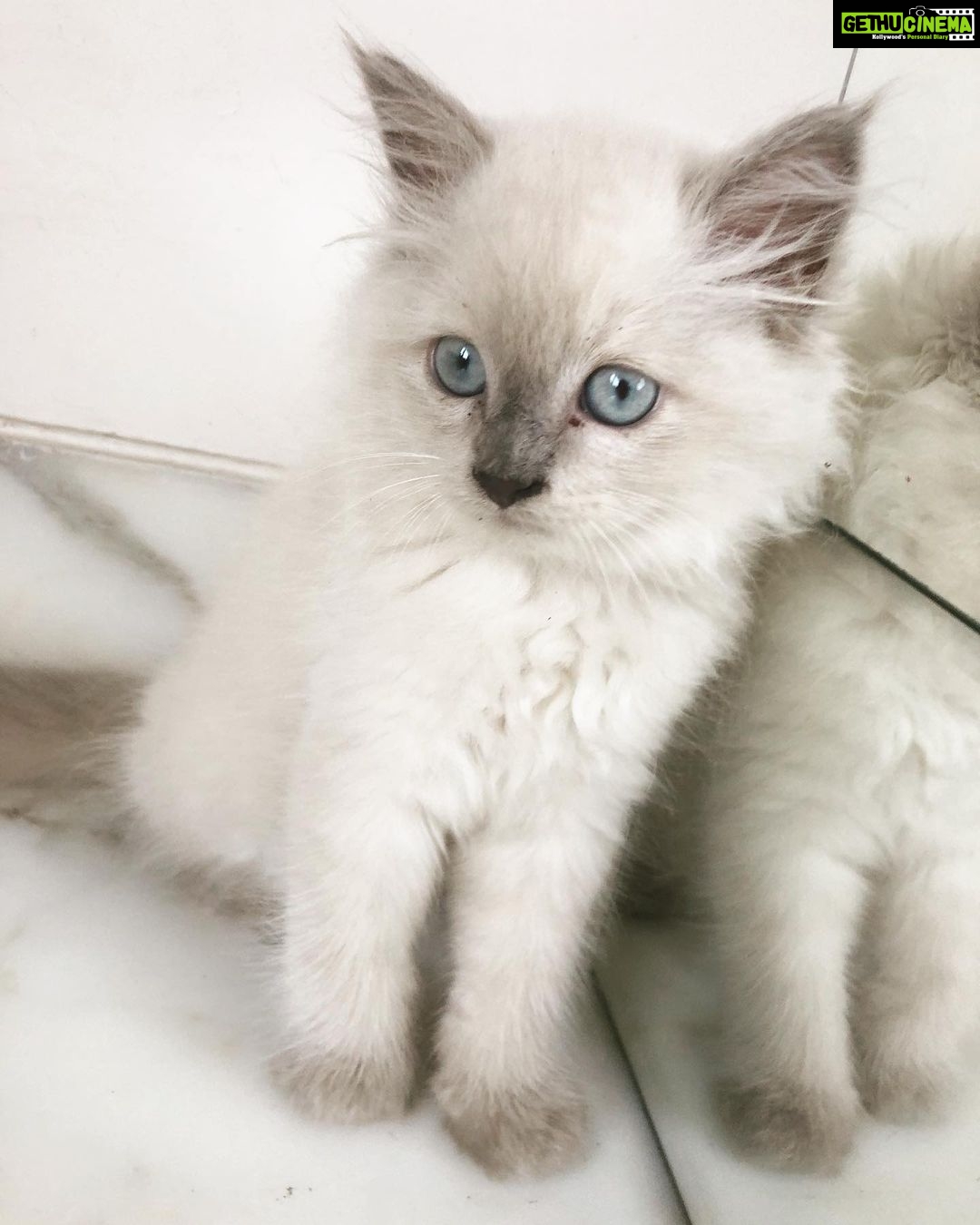 Disha Patani Instagram - Welcome to the family “keety” ❤️