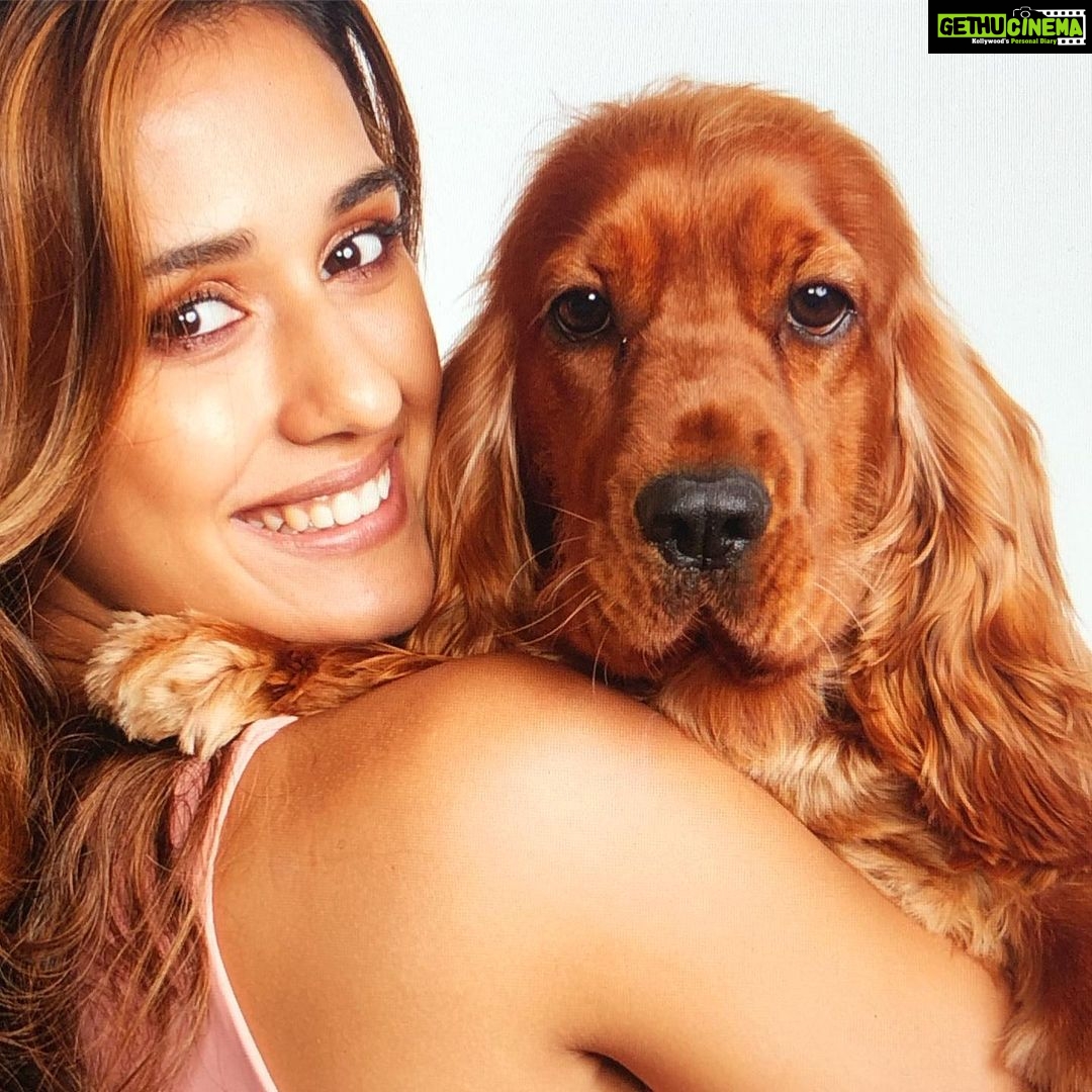 Disha Patani Instagram - Me and bellu @bellajasminegoku thank you @taras84 for the lovely picture ❤️❤️