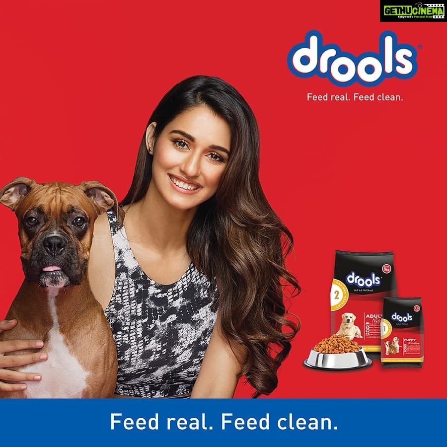 Disha Patani Instagram - I believe in @droolsindia because it has 100% pure chicken and zero by-products. It’s real pet food with real nutrition. After all, a well-fed dog is a healthy and happy dog.