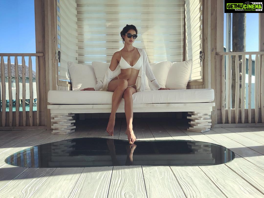 Disha Patani - 2 Million Likes - Merry Christmas to all🧚♀️🌸
