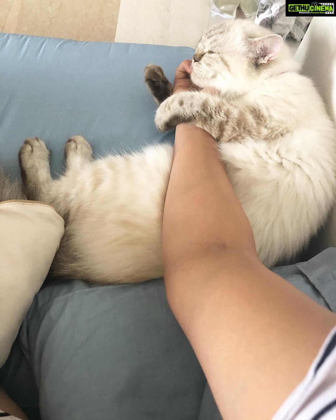 Disha Patani Instagram - Mama dont leave me @bellajasmine143 ❤️❤️