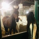 Disha Patani Instagram – All they need is “love” ❤️ 🐎🤗