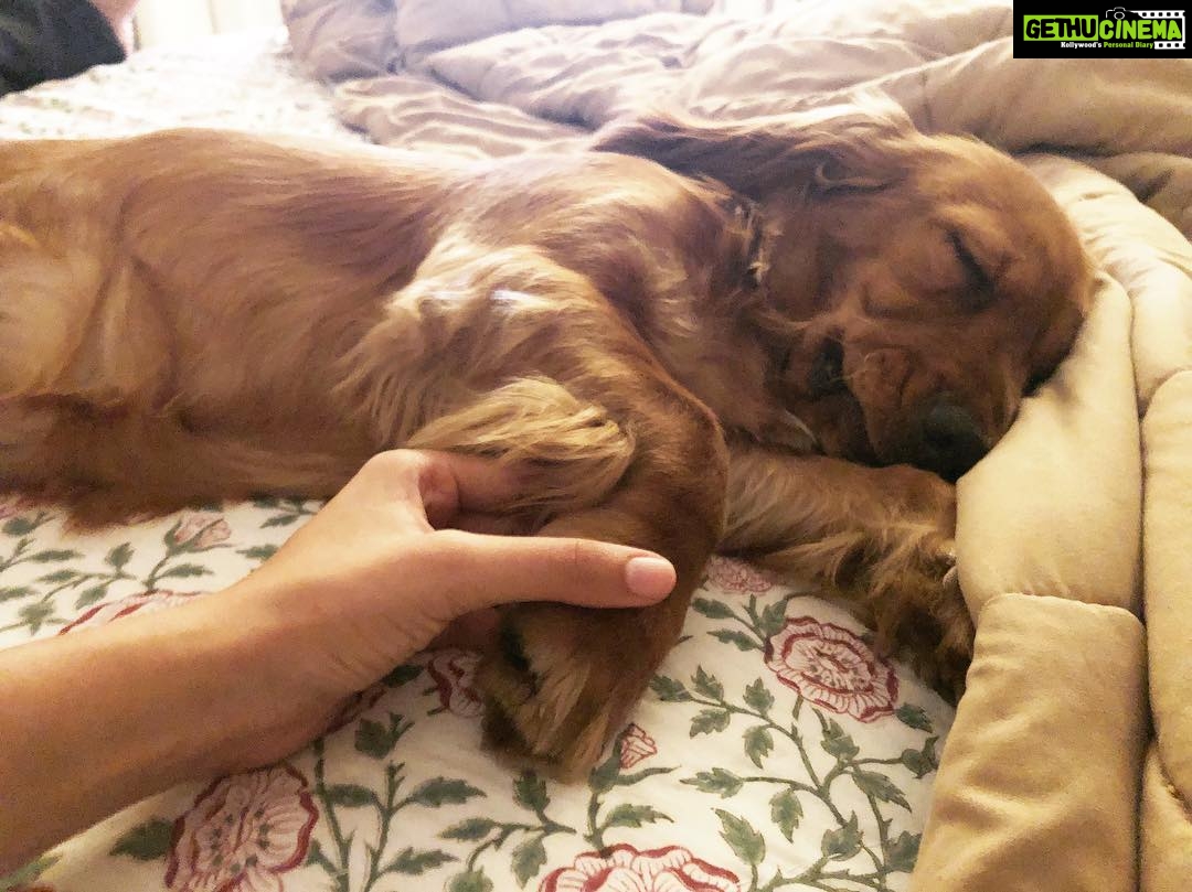 Disha Patani Instagram - My baby❤️ @bellajasmine143