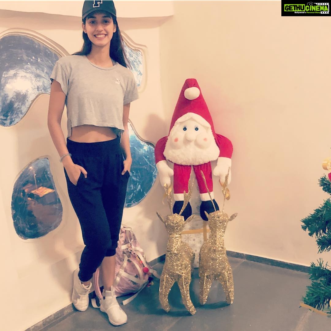 Disha Patani Instagram - Merry Christmas everyone ❤️❤️❤️🌸🌸🌸🌸 god bless all🤗