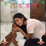 Disha Patani Instagram – Avoid crackers and celebrate a bright and safe Diwali with all the animals around you ❤️ #HAPPYDIWALI 
#SpreadLove
#CelebrateNature