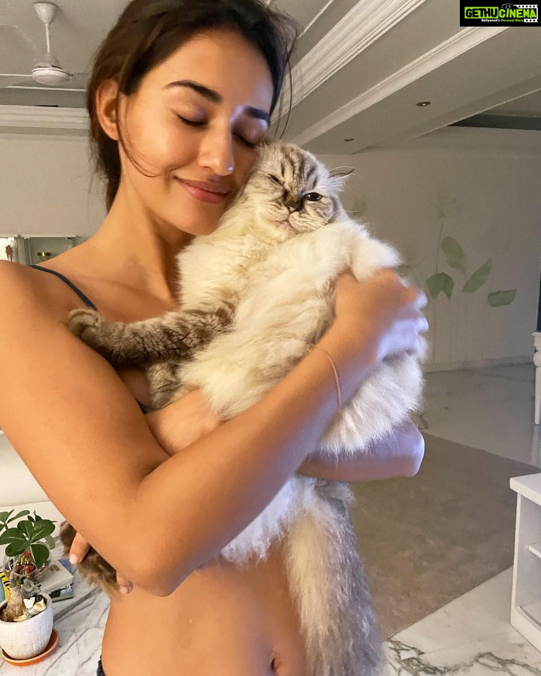 Disha Patani - 2.1 Million Likes - My jasmine and keety 🌸