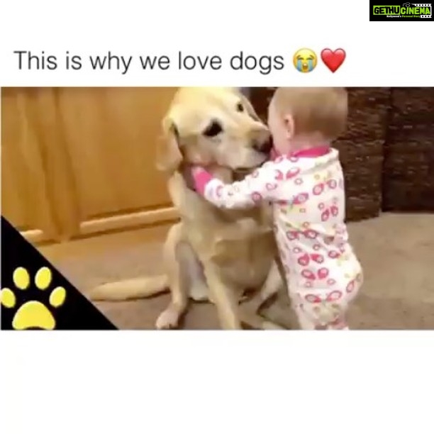Disha Patani Instagram - This why they say "Dog is a man's Best Friend" ... always Love the pets around you 😃 ☀️Good Morning