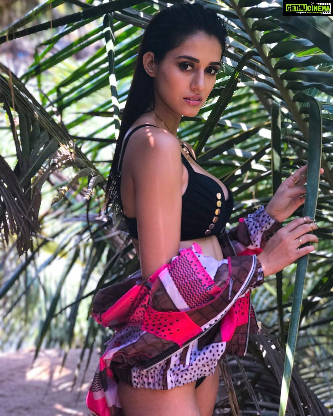 Disha Patani Instagram - Picture credits @pratinavpratapsingh 😜😊 #behind the scenes @cosmoindia ❤️
