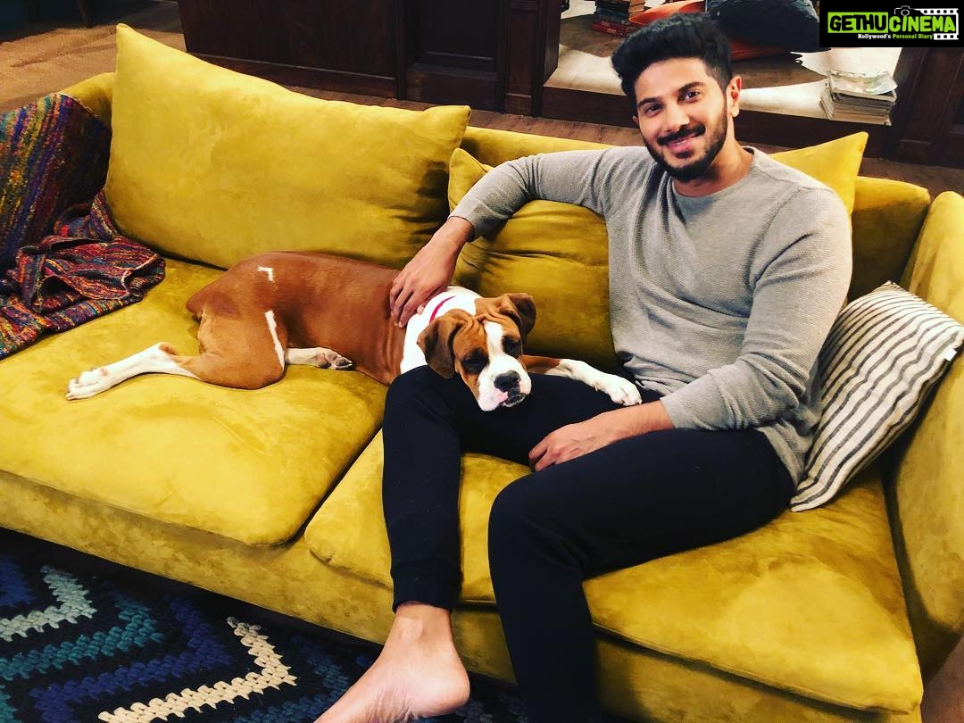 Dulquer Salmaan Instagram - Those in the know will know how big a deal this is ! I used to be downright petrified of dogs as a kid. But Honey here I think has converted me ! What a happy friendly adorable gal ! #notsoscary #DarKeAage #mademesmile #mademelaugh #awww