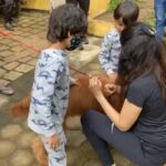 Genelia D’Souza Instagram – Riaan & Rahyl were showered by some unconditional love by Ms Paris… #worldanimalday2020🐾 

Riteish and myself have always wanted our kids to grow up with animals.. It was just a given .. During this pandemic we have tried to be as close to nature as we can. It was the only way to give our kids some kinda freedom..
I have seen them, taking charge of our dog Flash with utmost care and concern, he is literally their best friend. 
Human or animal – Every life matters and that was how @imaginemeats was born too
Do your kids a favour and help them have a four legged friend, They will learn compassion and kindness and as studies show they will have high self-esteem ❤️