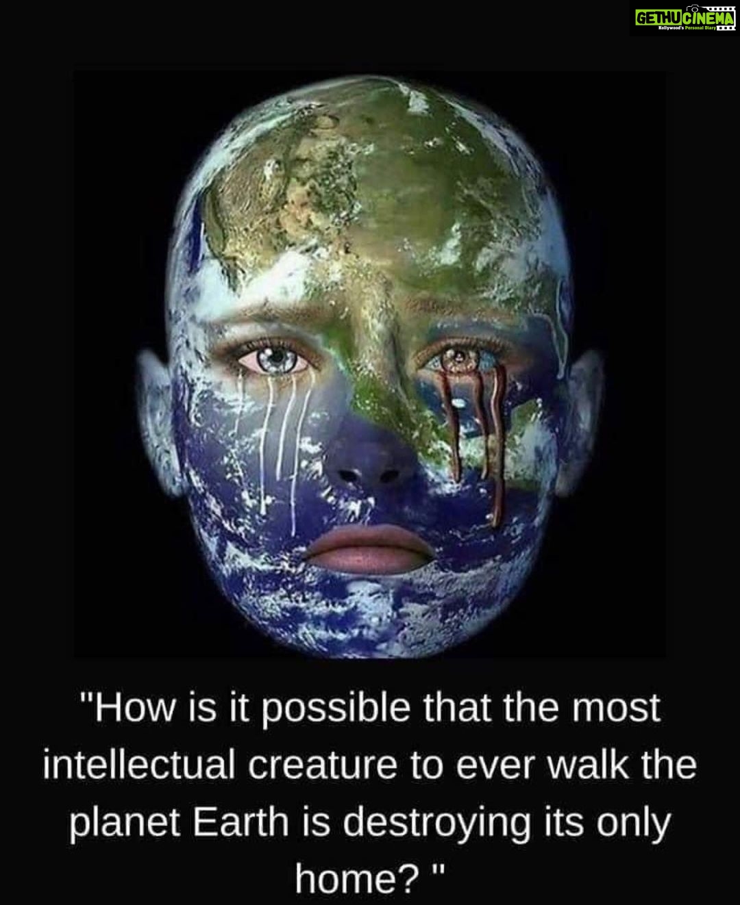 Genelia D'Souza Instagram - We need to renew our relationship with Nature.. . We need to realise that sustainability is the only way out for saving our planet.. . This #worldenvironmentday let us pledge to look after our environment Because it really needs us, to help it heal, to grow, to blossom and to flourish