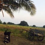 Genelia D’Souza Instagram – Babhalgaon (Latur) … Magical..
#family #village #thingsmoneycantbuy #livingaspeciallife #blessed