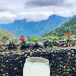 Gouri G Kishan Instagram - Some avacado by the hills 💌 #atwork #travel #view Munnar