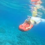 Hansika Motwani Instagram - Sea bob . #throwback #seabob 🌊🌊🐬🦀🐳🦞🦐🐠🦑🐙🐡