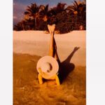 Hansika Motwani Instagram - Getting my daily dose of Vitamin sea 🌊🇲🇻👒🐬🏖 Mövenpick Resort Kuredhivaru Maldives