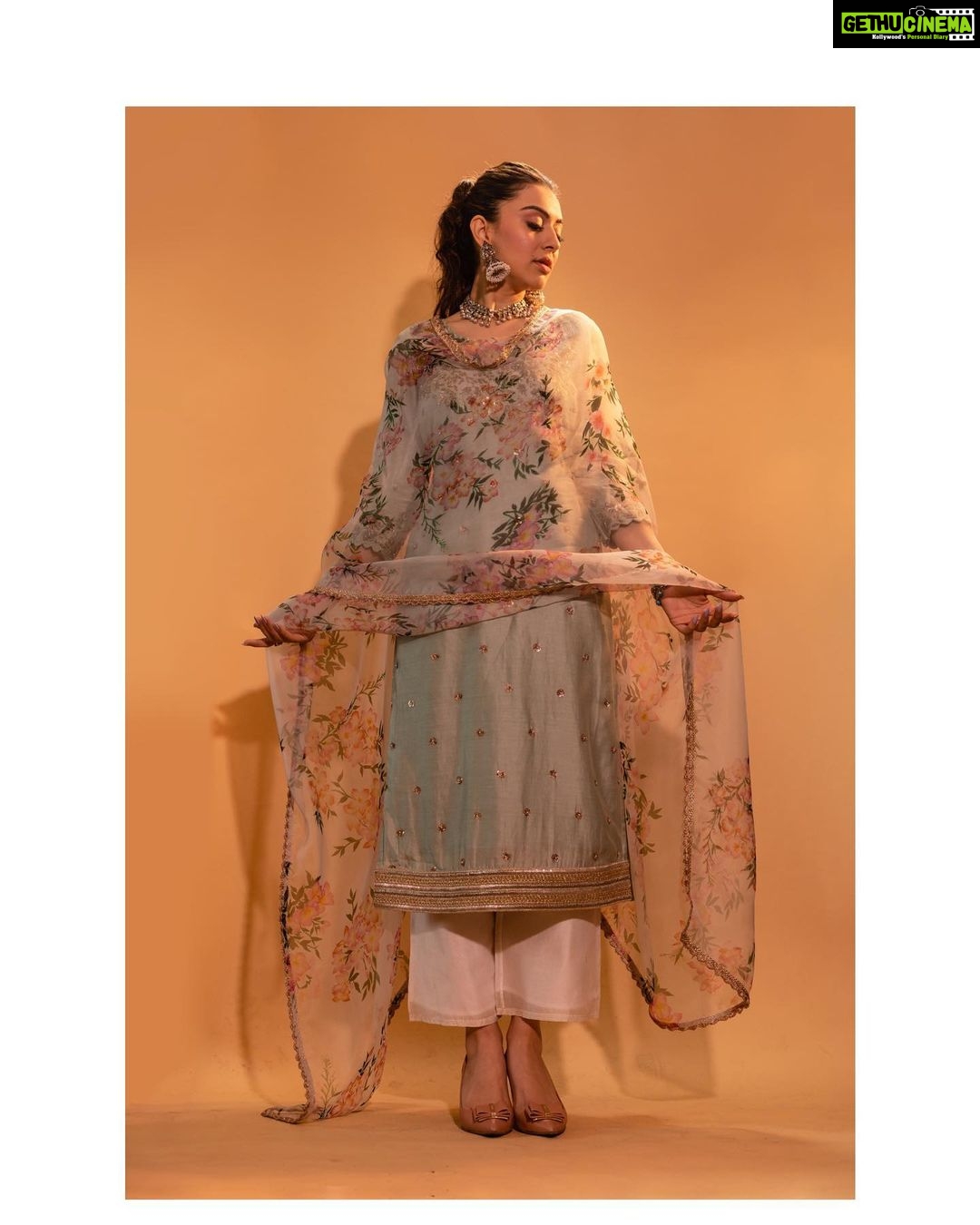 Hansika Motwani Instagram - πΈπΌ π @mrunaliniraodesign π @amrapalijewels π @ferragamo πΈ @artem.enterprise Makeup @makeupbyurmikaurr Hair @sankpalsavita Styled by @neeraja.kona Asst by @manogna_goll