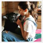 Hansika Motwani Instagram – Let’s see who blinks first !😋 my lil baby #MurphyMotwani 🐾