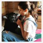 Hansika Motwani Instagram - Let’s see who blinks first !😋 my lil baby #MurphyMotwani 🐾