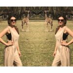 Hansika Motwani Instagram – 🦒🦒baby giraffe ♥️ #kenya🇰🇪 Heni Village, Central, Kenya