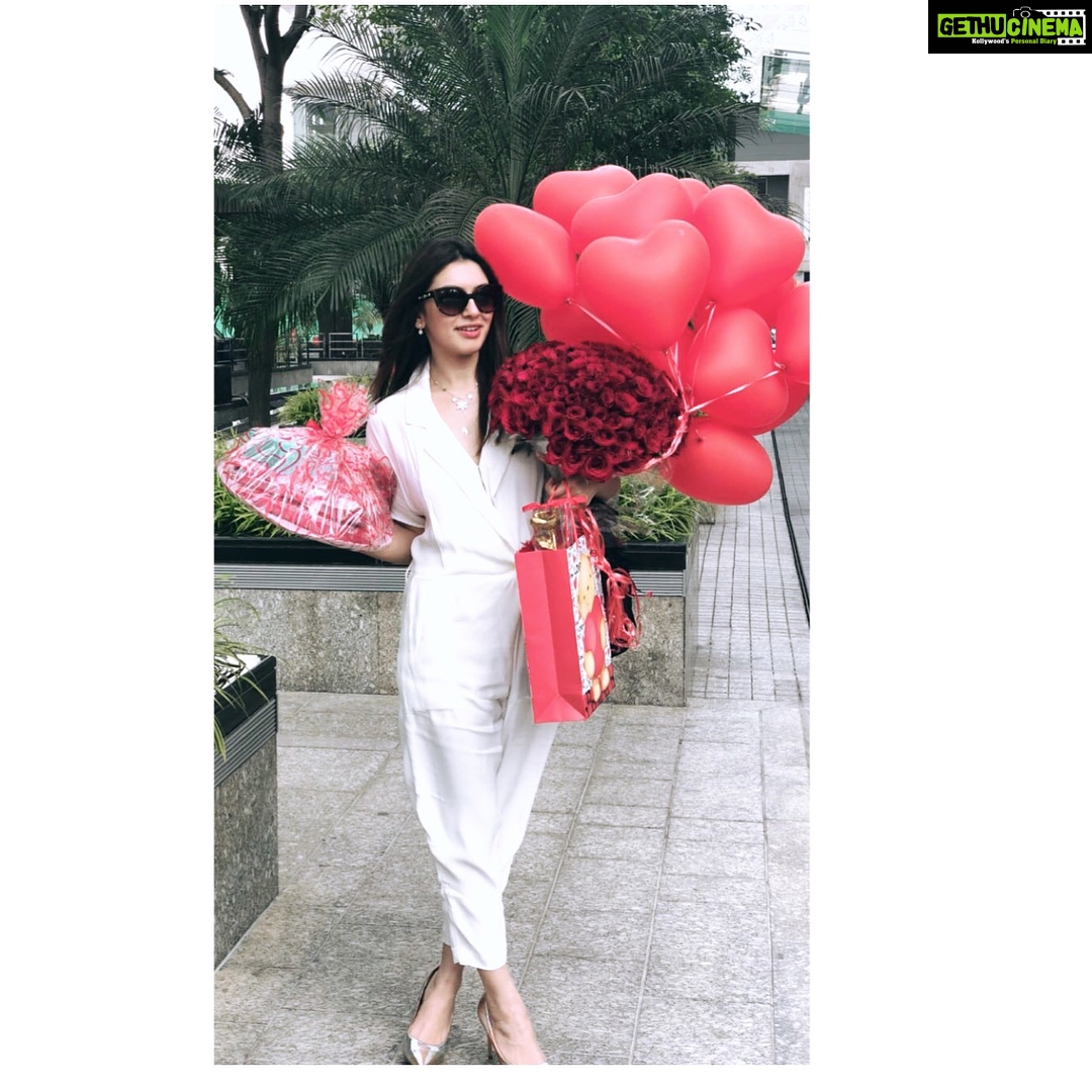 Hansika Motwani Instagram - What the world really needs is more love and less paperwork. #justsaying. #happyvalentinesday