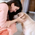 Hansika Motwani Instagram - 🐾♥️