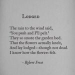 Hrithik Roshan Instagram - I'll bend but I shall not break. Words that resonate. #wordsfromthepast #poetsilove #robertfrost