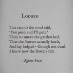 Hrithik Roshan Instagram – I’ll bend but I shall not break. Words that resonate. #wordsfromthepast #poetsilove #robertfrost