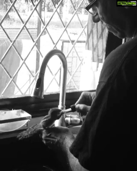 Ileana D'Cruz Instagram - I wish I had more pictures, more videos, audio notes, anything really... my heart still can’t come to terms with the fact that you’re gone. You were the most wonderful, beautiful, gentlest man I knew....it’s so painful to even write these words down because some part of me still can’t believe it...all I wish I could tell you is that you were loved so so much...I wish I could have had more time with you...we all wish we had more time... I don’t know if I believe in heaven but if it exists then I know you’re there...with your multitude of cats...”cat whisperer” I called you..there wasn’t a single cat I picked off the street that you didn’t nurture and love with all your heart..and by god they loved you right back...I could just go on and on about the amazing things you did not just for me but for us all...you weren’t just my favourite uncle, my Tiru... you were my second papa ♥️ And I miss you so goddamn much... Still hoping I’ll wake up tomorrow and this’ll just be a bad dream...hoping I could talk to you one more time 💔 I wish I had more time ♥️♥️♥️