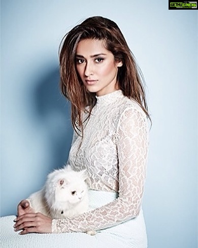 Ileana D'Cruz Instagram - You canβt plot world domination without a fluffy white cat in your lap π
π»ββοΈ - - - πΈ @rohanshrestha π₯