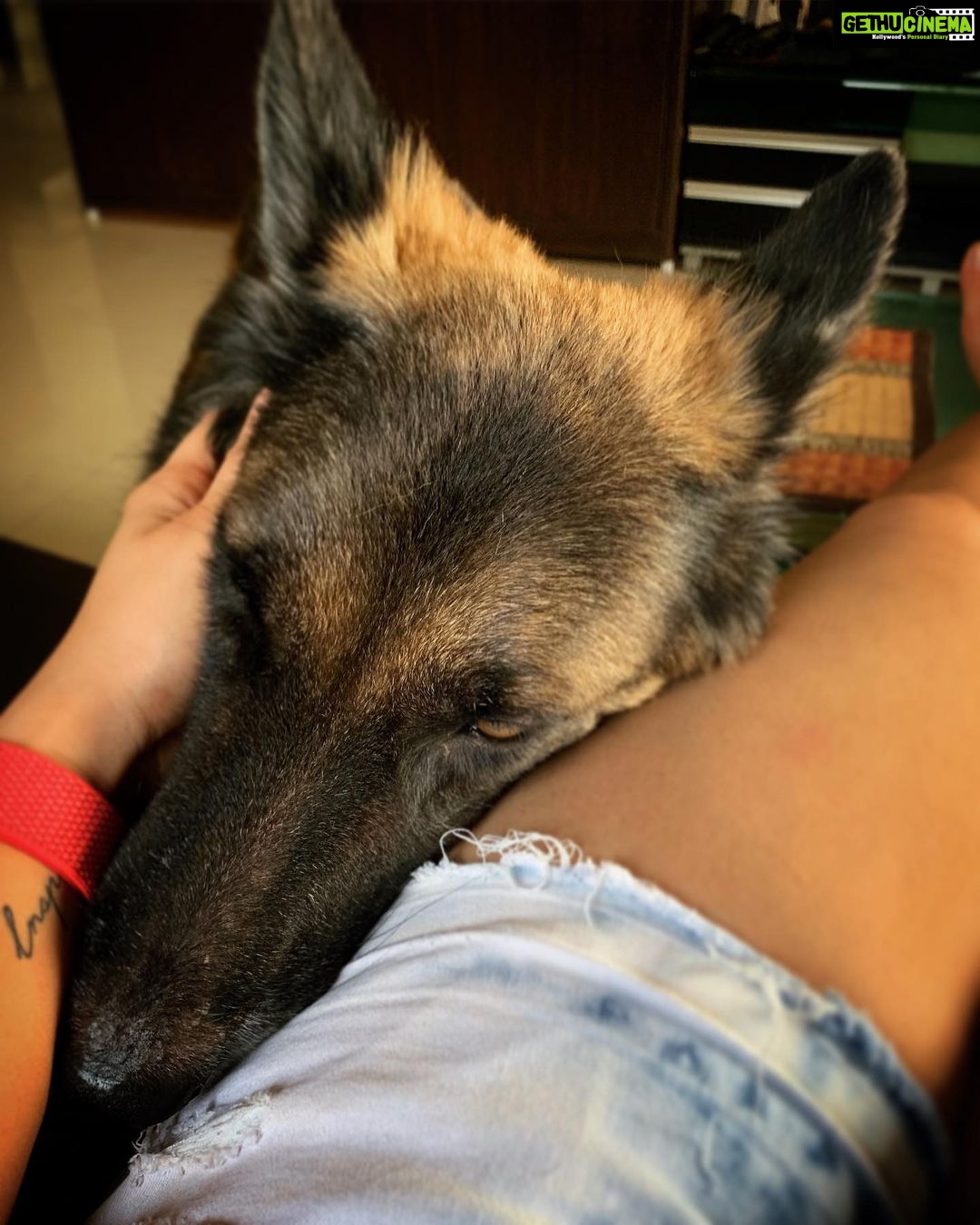 Ileana D'Cruz Instagram - Miss my big beautiful baby ♥️