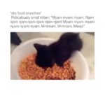 Ileana D'Cruz Instagram - How I eat when I’m hangry 😺😼