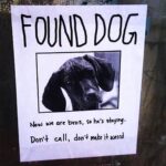 Ileana D'Cruz Instagram - Totally something I wld do.