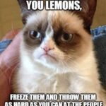 Ileana D'Cruz Instagram - Grumpy cat's got the right idea 🍋👊🏼👍🏼😛 #donotactuallyhitpeoplewithfrozenlemons #ifudopleaserecorditonvideoandsharewithme #althoughviolenceisnevertheanswer ✌🏼️