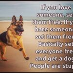 Ileana D’Cruz Instagram – 😂😂😂 
#latenightmusings #truth #peoplerstupid #dogsrawesome #getadog
