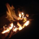 Ileana D'Cruz Instagram - Roasted marshmallows!!! 😍