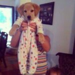 Ileana D'Cruz Instagram - Puppy in a onesie!!!! Where can I get one of these!!!! 😍😱 gosh I cld just squeeeeze him! ❤️