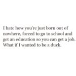 Ileana D'Cruz Instagram - 😂 Yes I know I've been blessed n I am happy with whatever I've got , but hey what if I wanted to be a duck! #whyistherenoduckemoticon