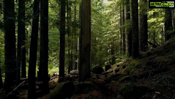 Jackky Bhagnani Instagram - The earth has music for those who listen. Let's take an oath to preserve the environment on this #WorldEnvironmentDay! #Nature #Environment #Earth #savetheplanet