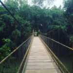Jackky Bhagnani Instagram - A walk to remember! Who would you like to take here? #Nature #Bridge #beauty #Green #Explore #Travel #India #SoGreen #lovetraveling #TravelStories #travelphotography