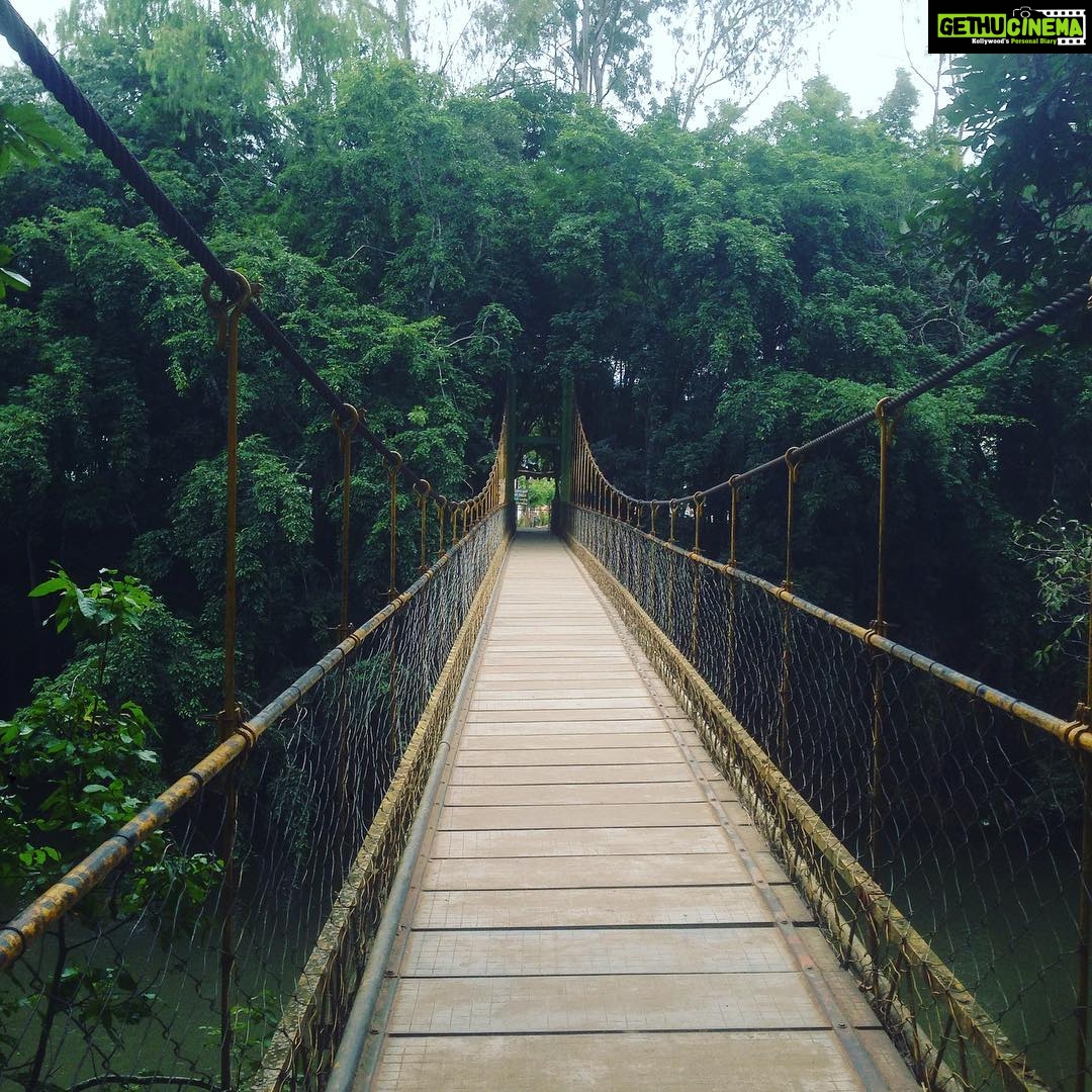 Jackky Bhagnani Instagram - A walk to remember! Who would you like to take here? #Nature #Bridge #beauty #Green #Explore #Travel #India #SoGreen #lovetraveling #TravelStories #travelphotography