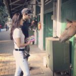 Jacqueline Fernandez Instagram – Meet Arigato 🐴 finally good to have you at the @amateurridersclub @s1dofficial 🐎🌞 Mahalaxmi Racecourse