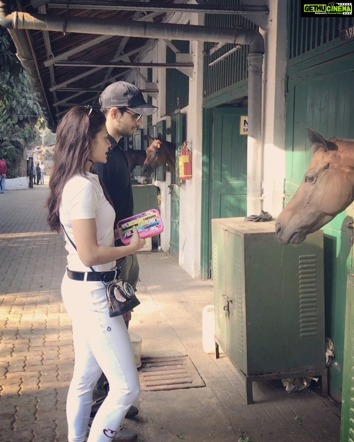 Jacqueline Fernandez Instagram - Meet Arigato 🐴 finally good to have you at the @amateurridersclub @s1dofficial 🐎🌞 Mahalaxmi Racecourse