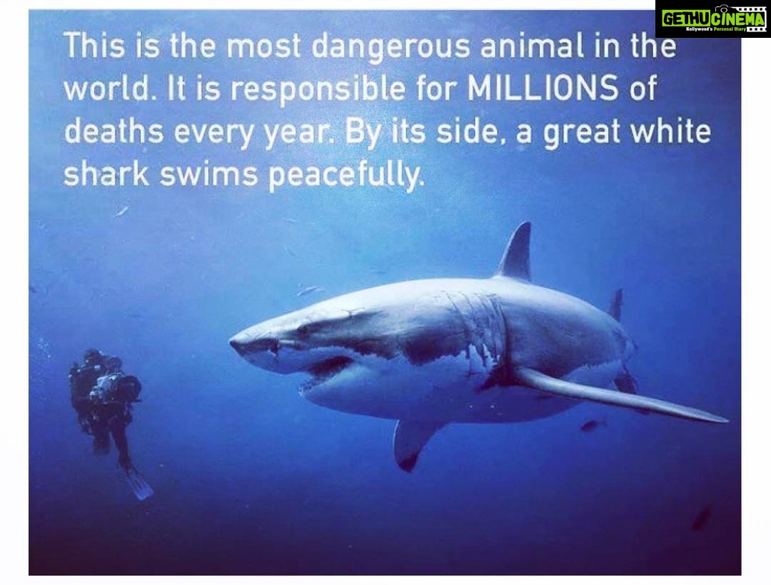 Jacqueline Fernandez Instagram - 💔 #racingextinction