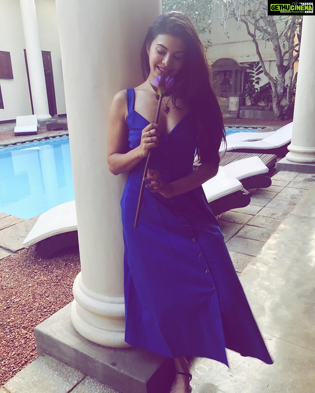 Jacqueline Fernandez Instagram - The only true wisdom is to know that you know nothing! #anotherdayinparadise Good morning Sri Lanka 🌸🌸🌸 Galle Fort Hotel