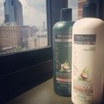 Jacqueline Fernandez Instagram – Can’t wait to prep my hair up for today’s shoot at #newyorkfashionweek2016 with these guys (and they smell yum)!! TRESemme 😍😍 #newyorkcity @tresemmeindia