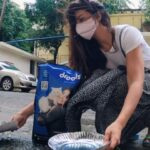 Jacqueline Fernandez Instagram - @droolsindia and I believe that all pets deserve the best when it comes to nutrition! So I feed Yoda and Miu miu @DroolsIndia cat food which takes care of their complete nutritional requirement! All our furry friends on the streets need a meal full of real nutrition.. Drools with it's benefits of 100% Real ingredients provides all the essential nutrients to keep them strong and healthy 💪🏻 #Drools #DroolsIndia #BundleOfJoy #CatParent #FeedRealFeedClean #FeedDrools #PetParent #PetBond #PetNutrition #HealthyPetFood #PetCare #PetFood #WhatsGoodForYourPet #FurryFriends #PetFriendly
